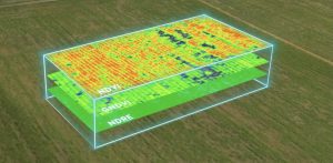 Indices de végétation
